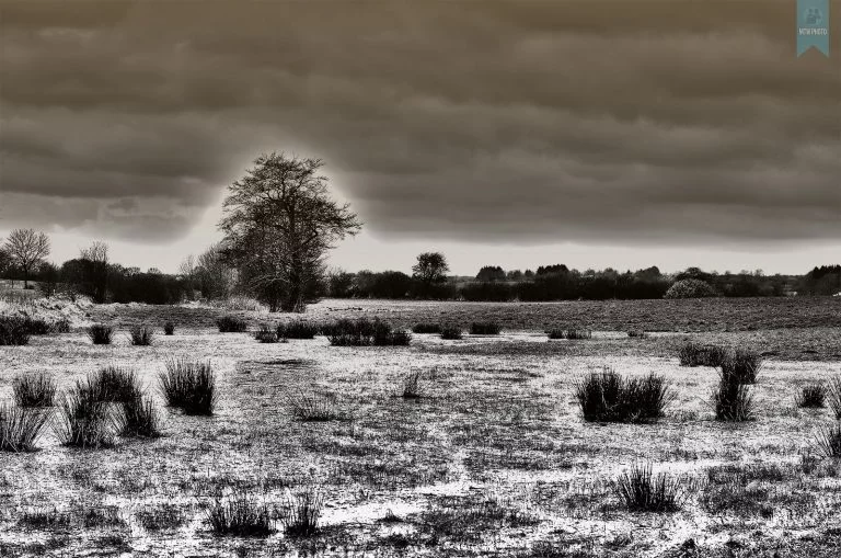 Der Frühling kommt 6 Natur mit HDR Filter