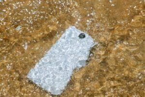 Das iPhone mit Reis trocknen? Lieber nicht!