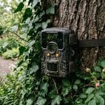 Die 7 besten Wildkameras für den Garten